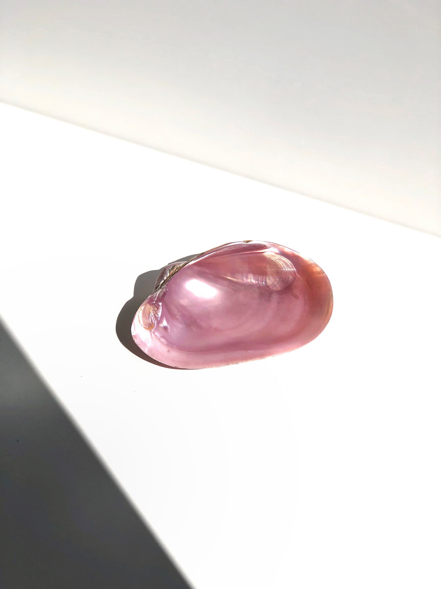 Pink Mussel Shell